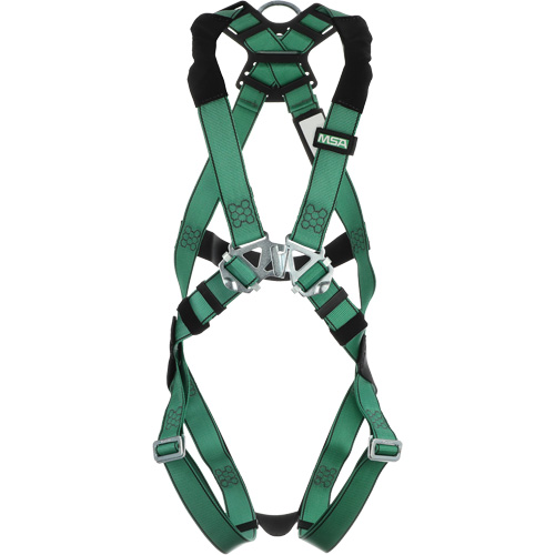 Security harness
