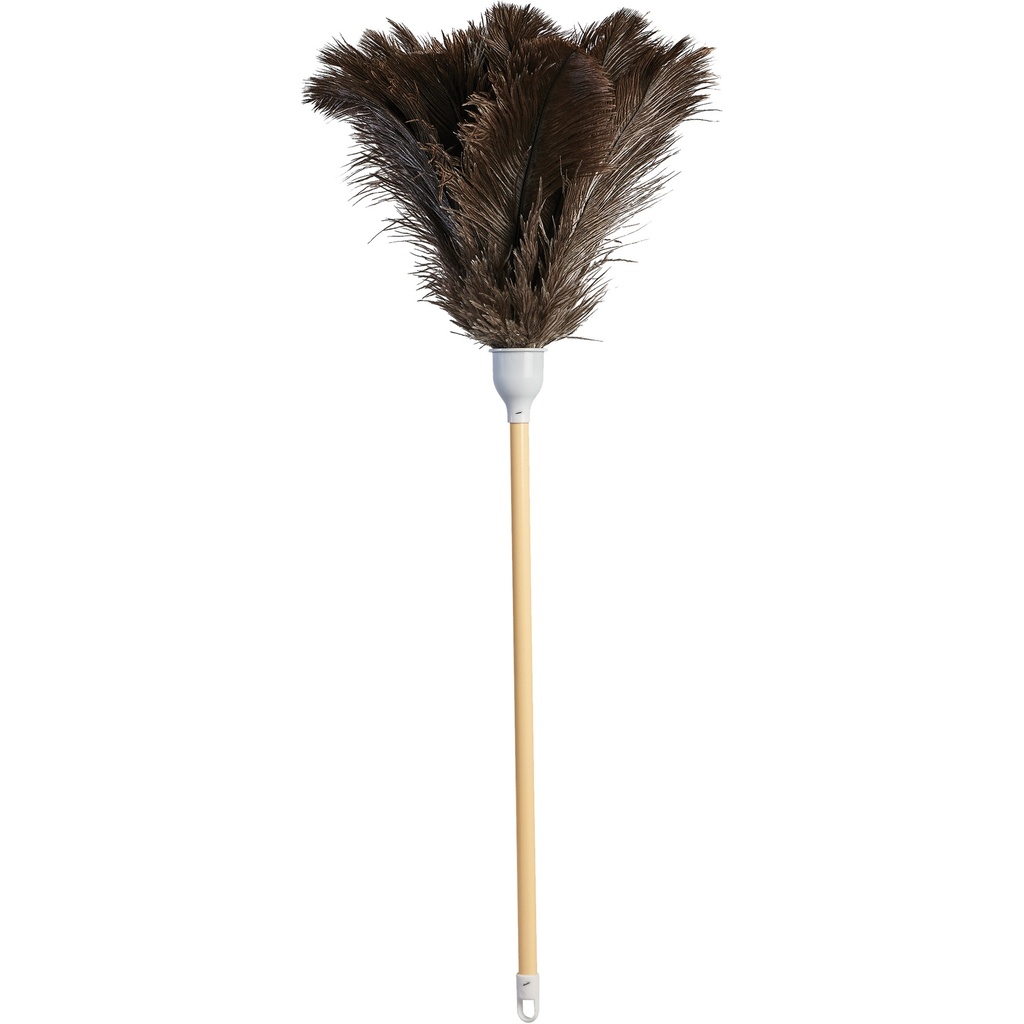 Ostrich feather duster